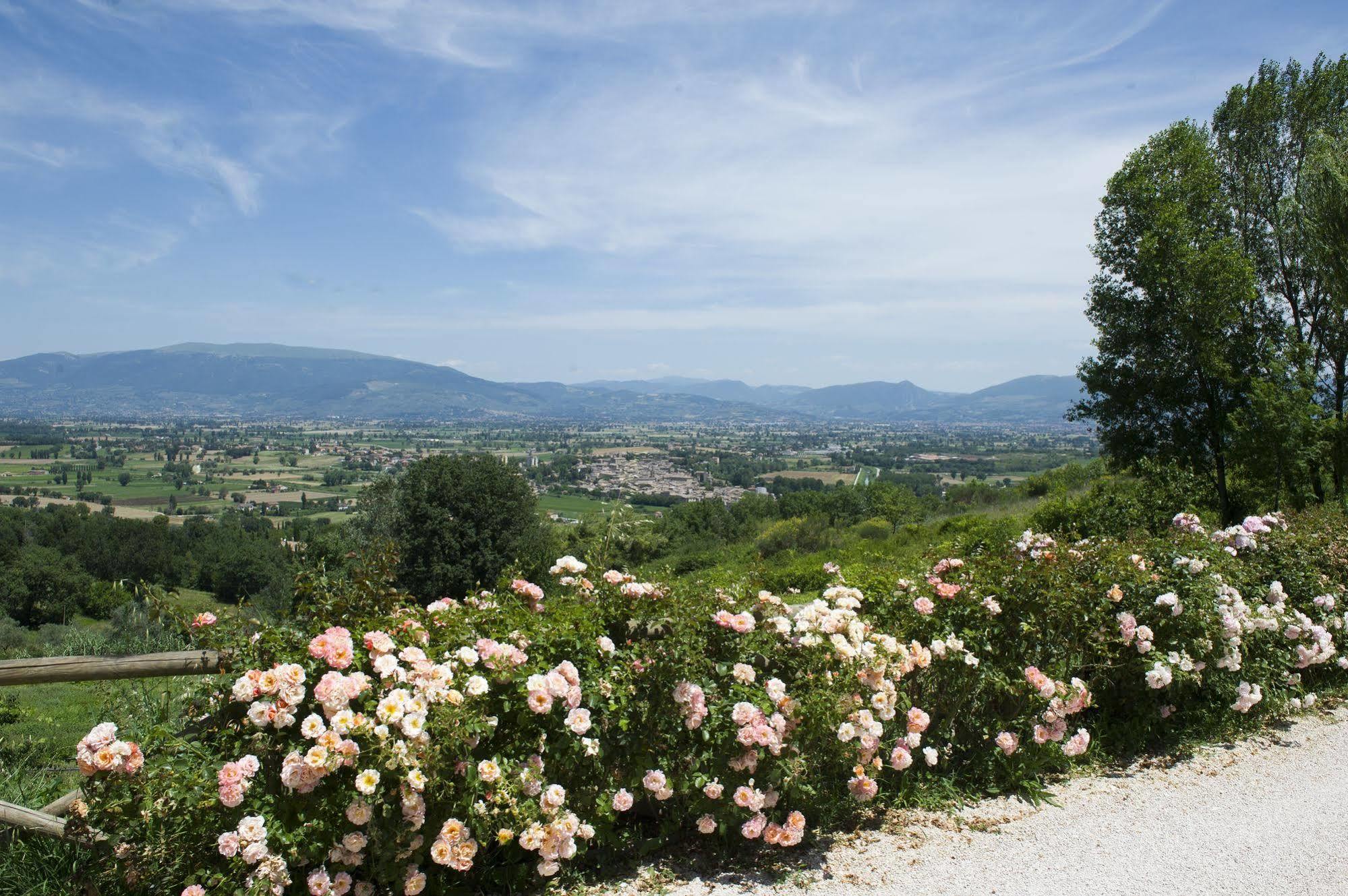Il Poggio Dei Pettirossi Hotel Беваня Екстериор снимка
